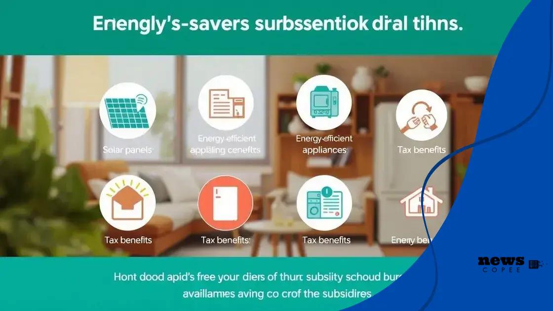 Soorten subsidies en hun voordelen